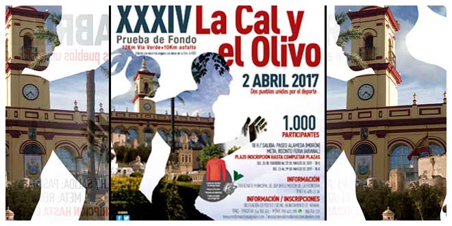 media maraton cal y olivo 2017 | voyacorrer.com